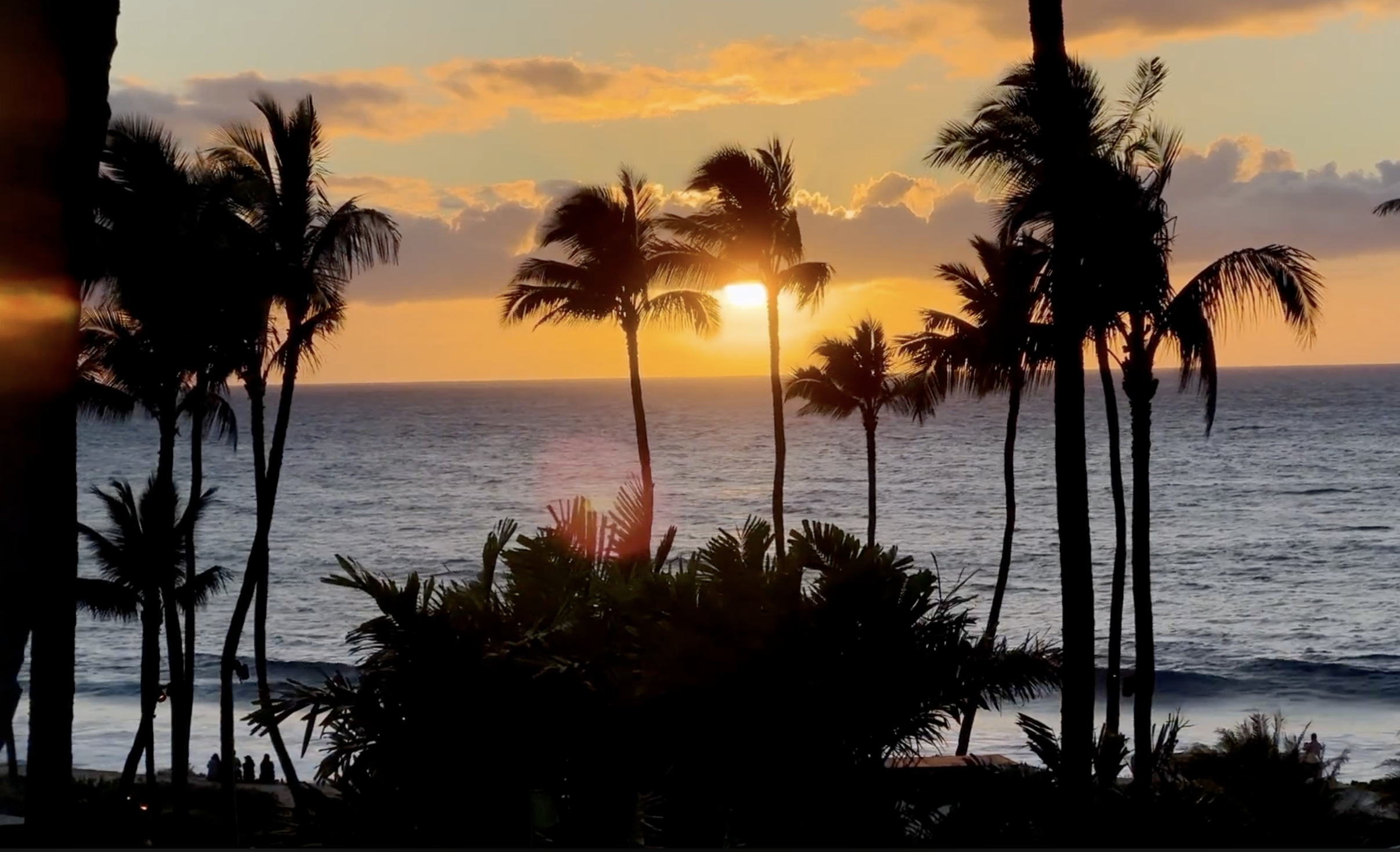 "The LENs - A snapshot about perspective" 